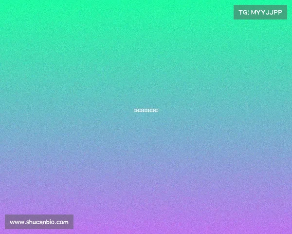 篮球的各项赛事有哪些